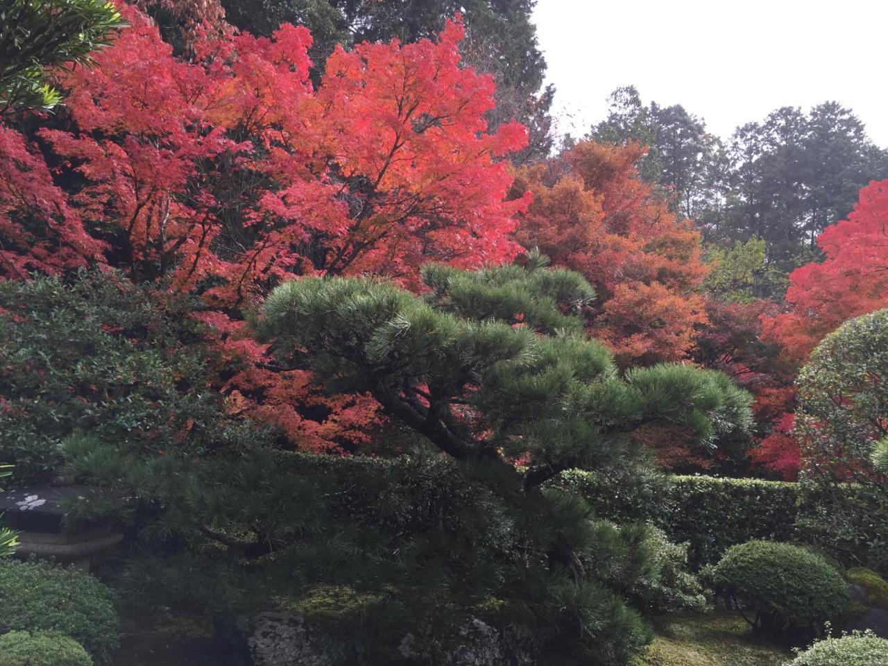 Ryokan Yamazaki Kioto Zewnętrze zdjęcie